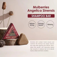 Disaar Herbal Shampoo Bar