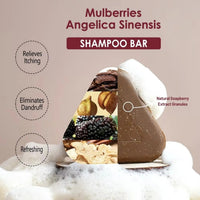 Disaar Herbal Shampoo Bar