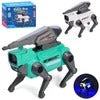Interactive Artillery Robot Dog